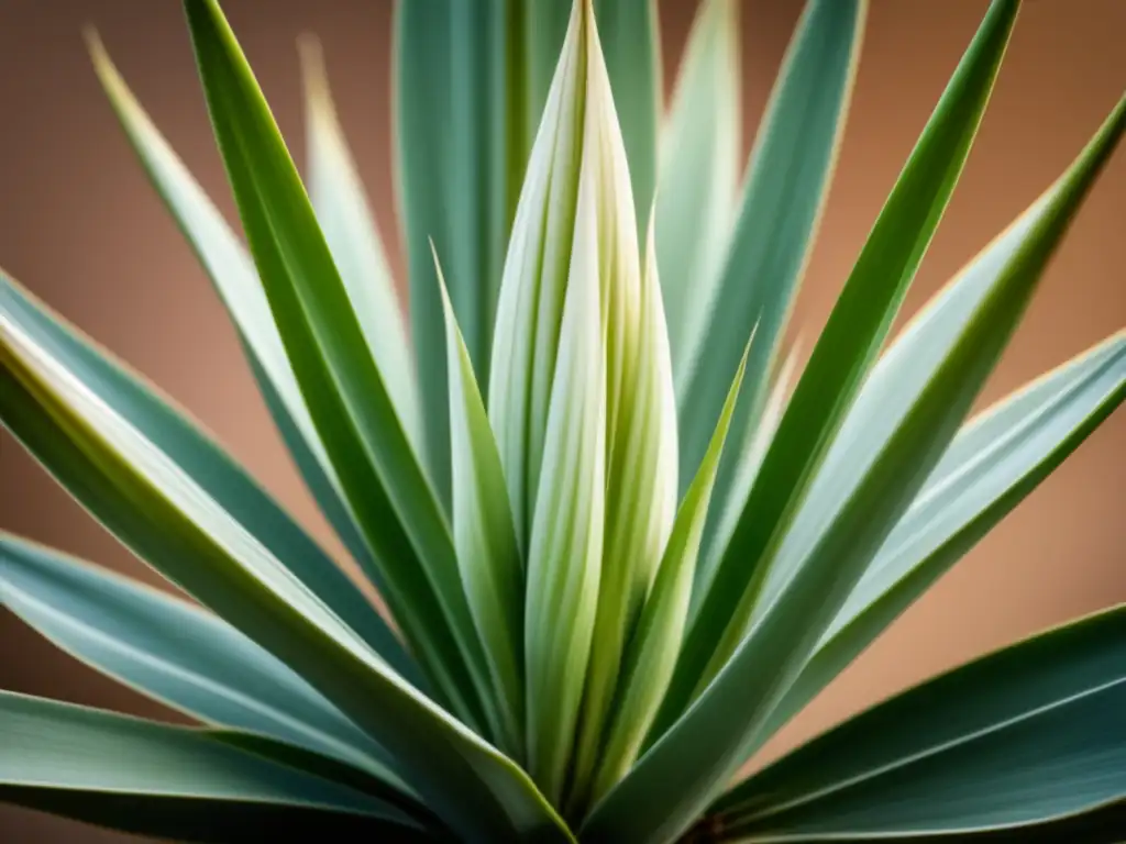 Imagen en 8k de la yuca, destacando su textura y detalles