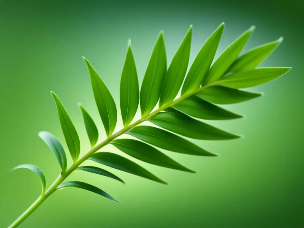 El Toque Mágico del Estragón en la Cocina Francesa - Detallada imagen 8k de una ramita de estragón con hojas verdes vibrantes y luz natural suave